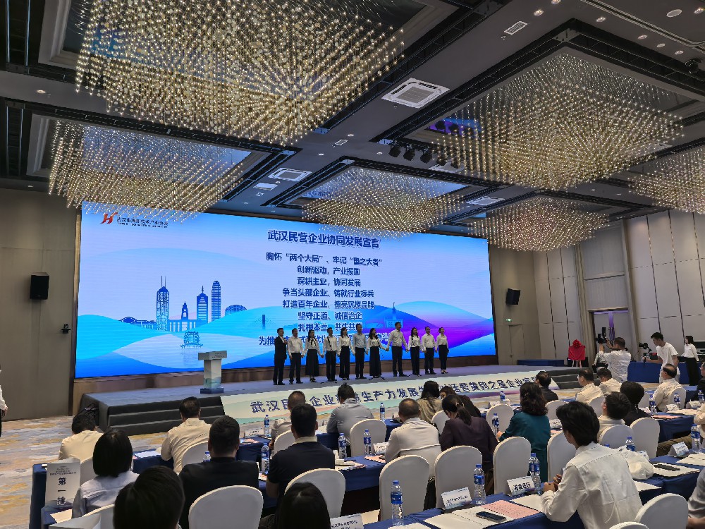 公司参加“武汉民营企业新质生产力发展先锋对话”活动