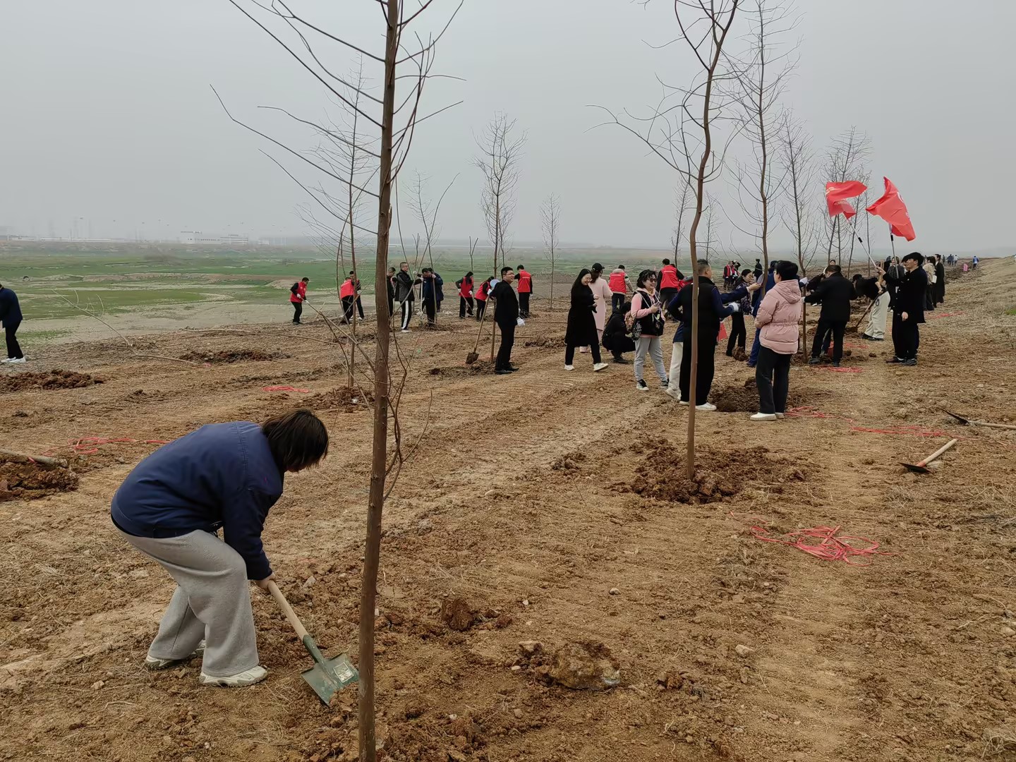 1741747535266050.jpg d778e6fec8039307f152809457187b14_compress.jpg